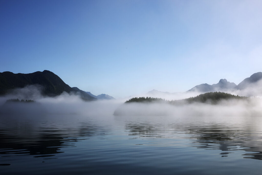 Clayoquot Sound’s iconic old growth gets big protections